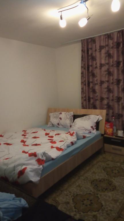 Central Apartment 2 Тімішоара Екстер'єр фото
