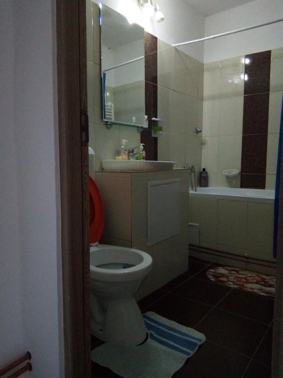 Central Apartment 2 Тімішоара Екстер'єр фото